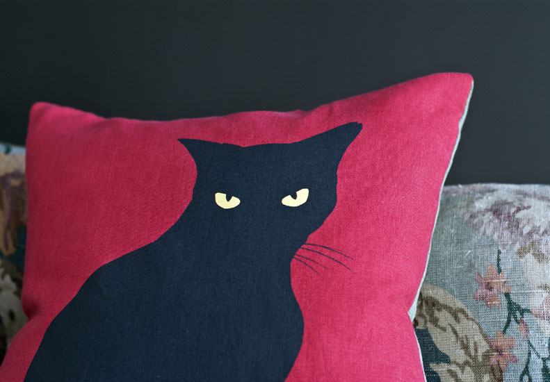 cushions mr gin the cat